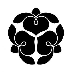 Wisteria_mitsuyosefujinohana